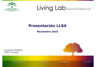 Presentación LLSA
                       Noviembre 2010




Fundación IAVANTE
CMAT, Granada
 