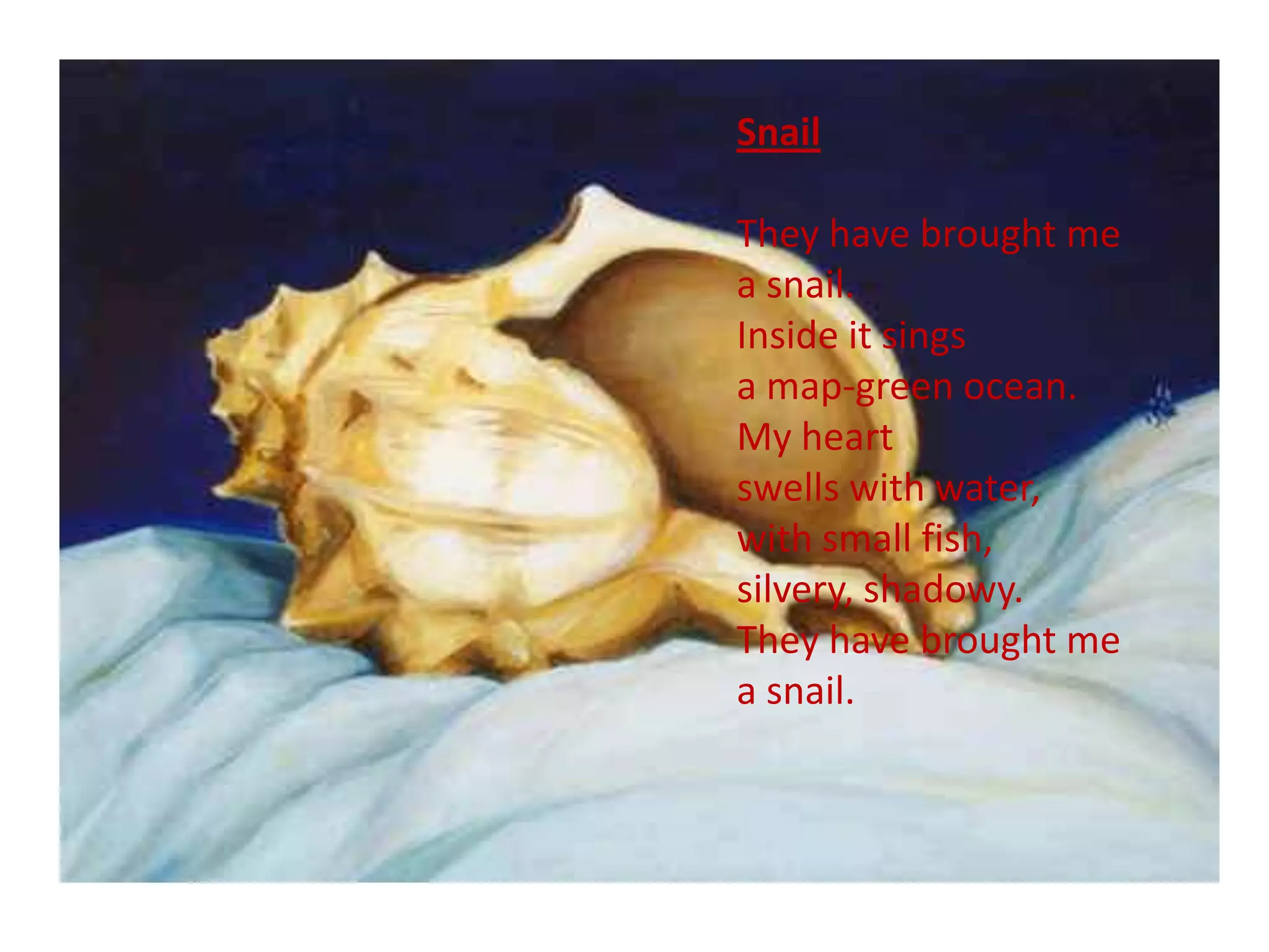 Snail

They have brought me
a snail.
Inside it sings
a map-green ocean.
My heart
swells with water,
with small fish,
silvery, shadowy.
They have brought me
a snail.
 