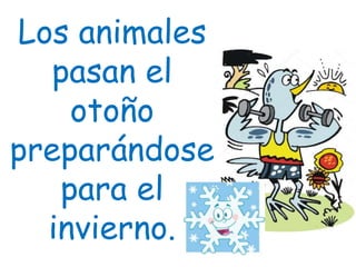 Los animales
pasan el
otoño
preparándose
para el
invierno.