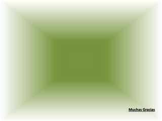 Muchas Gracias
 