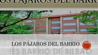 LOS PÁJAROS DEL BARRIO
 