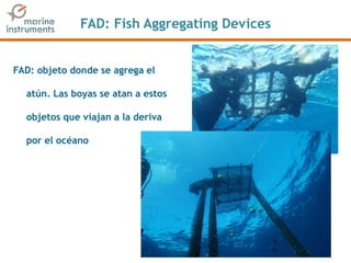 FAD: Fish Aggregating Devices
FAD: objeto donde se agrega el
atún. Las boyas se atan a estos
objetos que viajan a la deriva
por el océano
 