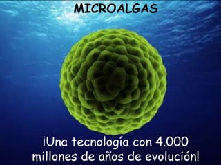 MICROALGAS




 ¡Una tecnología con 4.000
millones de años de evolución!
 
