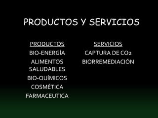PRODUCTOS Y SERVICIOS

  PRODUCTOS         SERVICIOS
  BIO-ENERGÍA    CAPTURA DE CO2
  ALIMENTOS     BIORREMEDIACIÓN
 SALUDABLES
 BIO-QUÍMICOS
  COSMÉTICA
FARMACEUTICA
 