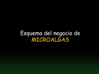 Esquema del negocio de
    MICROALGAS
 