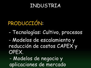 INDUSTRIA


PRODUCCIÓN:
- Tecnologías: Cultivo, procesos
- Modelos de escalamiento y
reducción de costos CAPEX y
OPEX.
- Modelos de negocio y
aplicaciones de mercado
 