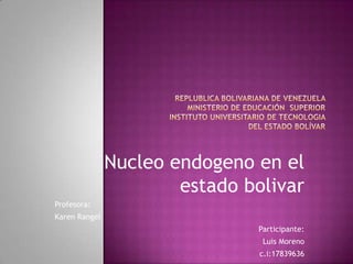 Nucleo endogeno en el
                       estado bolivar
Profesora:
Karen Rangel
                               Participante:
                                Luis Moreno
                                c.i:17839636
 