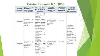 Cuadro Resumen D.S. 3856
 