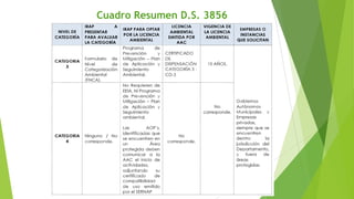 Cuadro Resumen D.S. 3856
 