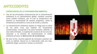 ANTECEDENTES
CONSECUENCIAS DE LA CONTAMINACIÓN AMBIENTAL
 Una de las principales consecuencias de la contaminación
ambiental es el calentamiento global, también conocido
como cambio climático, por el cual la temperatura del
planeta va aumentando de manera progresiva, tanto la
temperatura atmosférica como la de mares y océanos.
 La contaminación ambiental supone un riesgo para la salud
de los seres vivos que habitan los ecosistemas
contaminados, incluyendo a los seres humanos. Además, la
tala indiscriminada, la explotación excesiva de los recursos
naturales y la emisión de contaminantes al medio
ambiente provoca la destrucción de ecosistemas.
 De esta forma, muchas especies de animales y plantas ven
cómo su hábitat natural se va reduciendo cada vez más,
pudiendo llegar a provocar incluso su extinción.
 