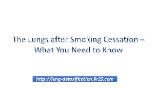 http://lung-detoxification.lir25.com
 