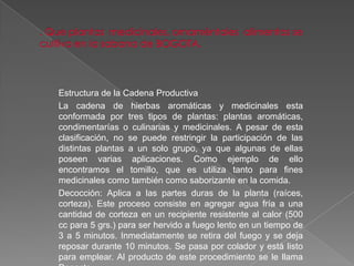 Estructura de la Cadena Productiva
La cadena de hierbas aromáticas y medicinales esta
conformada por tres tipos de plantas: plantas aromáticas,
condimentarías o culinarias y medicinales. A pesar de esta
clasificación, no se puede restringir la participación de las
distintas plantas a un solo grupo, ya que algunas de ellas
poseen varias aplicaciones. Como ejemplo de ello
encontramos el tomillo, que es utiliza tanto para fines
medicinales como también como saborizante en la comida.
Decocción: Aplica a las partes duras de la planta (raíces,
corteza). Este proceso consiste en agregar agua fría a una
cantidad de corteza en un recipiente resistente al calor (500
cc para 5 grs.) para ser hervido a fuego lento en un tiempo de
3 a 5 minutos. Inmediatamente se retira del fuego y se deja
reposar durante 10 minutos. Se pasa por colador y está listo
para emplear. Al producto de este procedimiento se le llama
 
