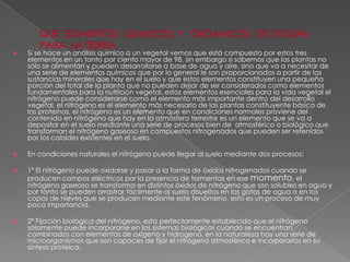    Si se hace un análisis químico a un vegetal vemos que está compuesto por estos tres
    elementos en un tanto por ciento mayor de 98, sin embargo si sabemos que las plantas no
    sólo se alimentan y pueden desarrollarse a base de agua y aire, sino que va a necesitar de
    una serie de elementos químicos que por lo general le son proporcionados a partir de las
    sustancias minerales que hay en el suelo y que estos elementos constituyen una pequeña
    porción del total de la planta que no pueden dejar de ser considerados como elementos
    fundamentales para la nutrición vegetal, estos elementos esenciales para la vida vegetal el
    nitrógeno puede considerarse como el elemento más importante dentro del desarrollo
    vegetal, el nitrógeno es el elemento más necesario de las plantas constituyente básico de
    las proteínas, el nitrógeno es un elemento que en condiciones normales proviene del
    contenido en nitrógeno que hay en la atmósfera terrestre es un elemento que se va a
    depositar en el suelo mediante una serie de procesos bien de atmosférico o biológico que
    transforman el nitrógeno gaseoso en compuestos nitrogenados que pueden ser retenidos
    por los coloides existentes en el suelo.

   En condiciones naturales el nitrógeno puede llegar al suelo mediante dos procesos:

   1º El nitrógeno puede oxidarse y pasar a la forma de óxidos nitrogenados cuando se
    producen campos eléctricos por la presencia de tormentas en ese momento, el
    nitrógeno gaseoso se transforma en distintos óxidos de nitrógeno que son solubles en agua y
    por tanto se pueden arrastrar fácilmente al suelo disueltos en las gotas de agua o en los
    copos de nieves que se producen mediante este fenómeno, esto es un proceso de muy
    poca importancia.

   2º Fijación biológica del nitrógeno, esta perfectamente establecido que el nitrógeno
    solamente puede incorporarse en los sistemas biológicos cuando se encuentran
    combinados con elementos de oxígeno y hidrogeno, en la naturaleza hay una serie de
    microorganismos que son capaces de fijar el nitrógeno atmosférico e incorporarlos en su
    síntesis proteica.
 