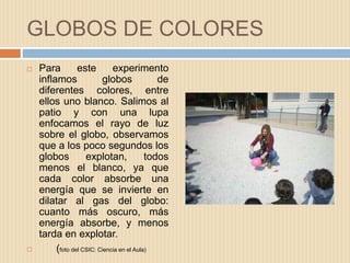 GLOBOS DE COLORES
 Para este experimento
inflamos globos de
diferentes colores, entre
ellos uno blanco. Salimos al
patio y con una lupa
enfocamos el rayo de luz
sobre el globo, observamos
que a los poco segundos los
globos explotan, todos
menos el blanco, ya que
cada color absorbe una
energía que se invierte en
dilatar al gas del globo:
cuanto más oscuro, más
energía absorbe, y menos
tarda en explotar.
 (foto del CSIC: Ciencia en el Aula)
 