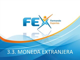 3.3. MONEDA EXTRANJERA

 