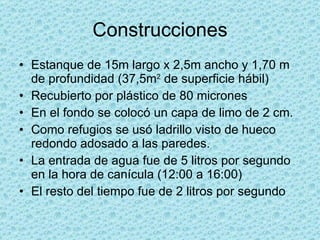 Construcciones Estanque de 15m largo x 2,5m ancho y 1,70 m de profundidad (37,5m 2  de superficie hábil) Recubierto por plástico de 80 micrones En el fondo se colocó un capa de limo de 2 cm. Como refugios se usó ladrillo visto de hueco redondo adosado a las paredes. La entrada de agua fue de 5 litros por segundo en la hora de canícula (12:00 a 16:00) El resto del tiempo fue de 2 litros por segundo 