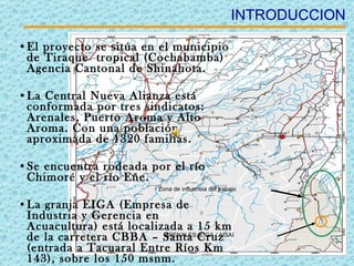 INTRODUCCION El proyecto se sitúa en el municipio de Tiraque  tropical (Cochabamba) Agencia Cantonal de Shinahota. La Central Nueva Alianza está conformada por tres sindicatos: Arenales, Puerto Aroma y Alto Aroma. Con una población aproximada de 1320 familias. Se encuentra rodeada por el río Chimoré y el río Eñe. La granja EIGA (Empresa de Industria y Gerencia en Acuacultura) está localizada a 15 km de la carretera CBBA – Santa Cruz  (entrada a Tacuaral Entre Ríos Km 143), sobre los 150 msnm. ARENALES: EIGA / AISAI Zona de influencia del trabajo 