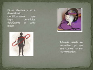 Si es efectiva y se a
demostrado
científicamente     que
logra         beneficios
fisiológicos   a  corto
plazo.




                           Además resulta ser
                           accesible, ya que
                           sus costos no son
                           muy elevados.
 