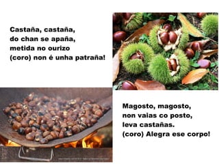Castaña, castaña,
do chan se apaña,
metida no ourizo
(coro) non é unha patraña!
Magosto, magosto,
non vaias co posto,
leva castañas.
(coro) Alegra ese corpo!
 