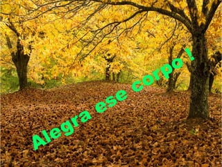 Alegra ese corpo !
 