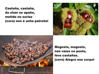 Castaña, castaña,
do chan se apaña,
metida no ourizo
(coro) non é unha patraña!
Magosto, magosto,
non vaias co posto,
leva castañas.
(coro) Alegra ese corpo!
 