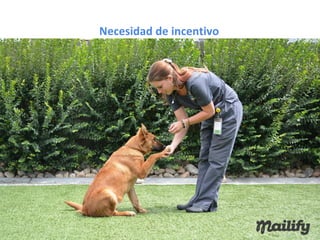 Mailify como convertir tráfico en compradores - Primeraventa.com 