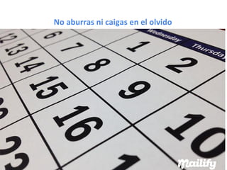 Mailify como convertir tráfico en compradores - Primeraventa.com 