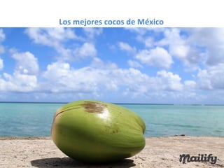 Mailify como convertir tráfico en compradores - Primeraventa.com 