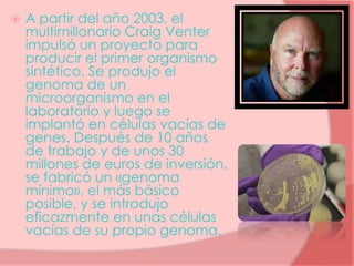  A partir del año 2003, el
multimillonario Craig Venter
impulsó un proyecto para
producir el primer organismo
sintético. Se produjo el
genoma de un
microorganismo en el
laboratorio y luego se
implantó en células vacías de
genes. Después de 10 años
de trabajo y de unos 30
millones de euros de inversión,
se fabricó un «genoma
mínimo», el más básico
posible, y se introdujo
eficazmente en unas células
vacías de su propio genoma.
 