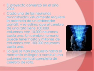  El proyecto comenzó en el año
2005.
 Cada una de las neuronas
reconstruidas virtualmente requiere
la potencia de un ordenador
portátil, y se estima que el cerebro
de una rata tiene 100.000
columnas con 10.000 neuronas
cada una. Un cerebro humano
puede tener hasta 2 millones de
columnas con 100.000 neuronas
cada una.
 Lo que se han propuesto hasta el
momento es llegar a construir una
columna vertical completa de
cerebro de rata.
 
