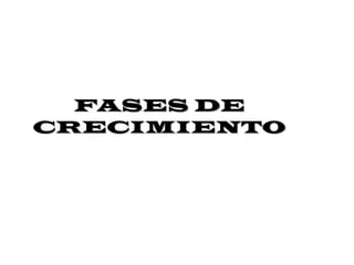 FASES DE CRECIMIENTO 