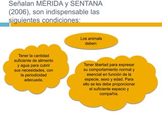 Señalan MÉRIDA y SENTANA
(2006), son indispensable las
siguientes condiciones:
Tener la cantidad
suficiente de alimento
y agua para cubrir
sus necesidades, con
la periodicidad
adecuada.
Los animals
deben:
Tener libertad para expresar
su comportamiento normal y
esencial en función de la
especie, sexo y edad. Para
ello se les debe proporcionar
el suficiente espacio y
compañía.
 