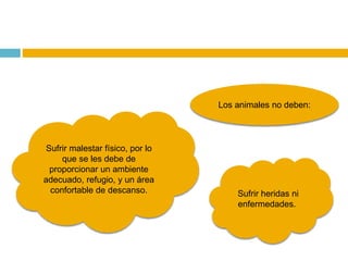 Los animales no deben:
Sufrir malestar físico, por lo
que se les debe de
proporcionar un ambiente
adecuado, refugio, y un área
confortable de descanso. Sufrir heridas ni
enfermedades.
 