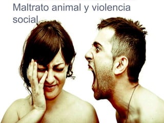 Maltrato animal y violencia
social
 
