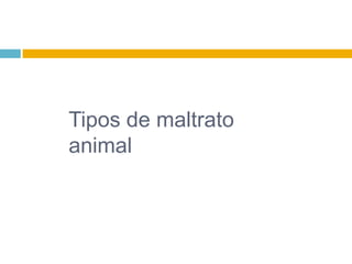 Tipos de maltrato
animal
 
