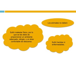 Los animales no deben:



Sufrir malestar físico, por lo
    que se les debe de
 proporcionar un ambiente
adecuado, refugio, y un área
 confortable de descanso.            Sufrir heridas ni
                                     enfermedades.
 