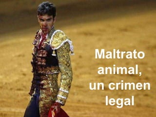 Maltrato
 animal,
un crimen
  legal
 