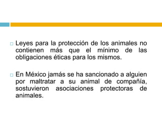    Leyes para la protección de los animales no
    contienen más que el mínimo de las
    obligaciones éticas para los mismos.

   En México jamás se ha sancionado a alguien
    por maltratar a su animal de compañía,
    sostuvieron asociaciones protectoras de
    animales.
 