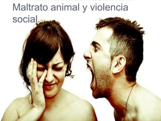 Maltrato animal y violencia
social
 