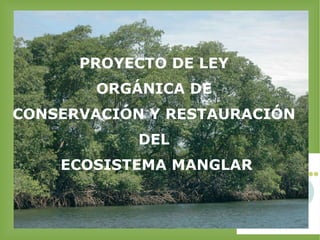 PROYECTO DE LEY  ORGÁNICA DE  CONSERVACIÓN Y RESTAURACIÓN  DEL  ECOSISTEMA MANGLAR 