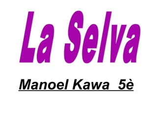 Manoel Kawa 5è
 