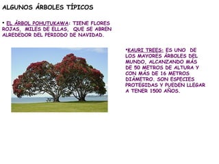ALGUNOS ÁRBOLES TÍPICOS

 EL ÁRBOL POHUTUKAWA: TIENE FLORES
ROJAS, MILES DE ELLAS, QUE SE ABREN
ALREDEDOR DEL PERIODO DE ...