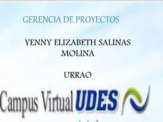 GERENCIA DE PROYECTOS
YENNY ELIZABETH SALINAS
MOLINA
URRAO
 