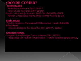 ¿DÓNDE COMER?
FUERTE OLIMPO
Hotel Restaurante AA (0497) 281017.
Hotel Chaco Pantanal (0497) 281027.
Pensión y Hospedaje Nanawa (0497) 281184/(0983) 459909.
Pensión y Hospedaje Marito.(0982) 160938 Victoria de Gill
BAHÍA NEGRA
- Pensión Hombre y Naturaleza 010 Operadora – Mario Bobadilla
(0982)898589.
- Estación Biológica Tres Gigantes (021) 229097 / 223567.
CARMELO PERALTA
- Laguna Yacaré Lodge. Carlos Valiente (0981) 170222.
- Hospedaje San Pedro 010 Operadora – Valerio Ruiz Díaz (0981) 837126.
 
