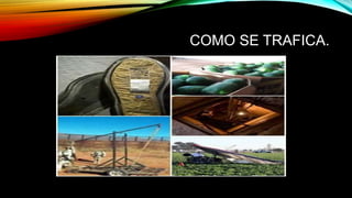 COMO SE TRAFICA.
 