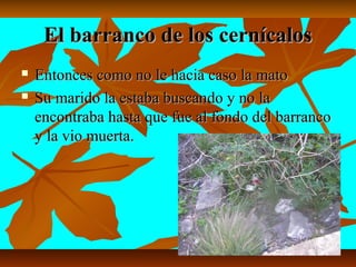 EEll bbaarrrraannccoo ddee llooss cceerrnnííccaallooss 
 EEnnttoonncceess ccoommoo nnoo llee hhaacciiaa ccaassoo llaa mmaattoo 
 SSuu mmaarriiddoo llaa eessttaabbaa bbuussccaannddoo yy nnoo llaa 
eennccoonnttrraabbaa hhaassttaa qquuee ffuuee aall ffoonnddoo ddeell bbaarrrraannccoo 
yy llaa vviioo mmuueerrttaa.. 
 