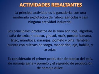 La principal actividad es la ganadería, con una
moderada explotación de rubros agrícolas y casi
ninguna actividad industrial.
Los principales productos de la zona son soja, algodón,
caña de azúcar, tabaco, girasol, maíz, poroto, banana,
trigo, mandioca, naranjas, pomelo y piña. También
cuenta con cultivos de sorgo, mandarina, ajo, habilla, y
arvejas.
Es considerado el primer productor de tabaco del país,
de naranja agria y pomelo y el segundo de producción
de naranja dulce.
 