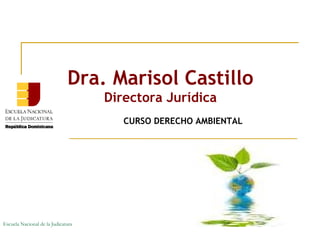 Dra. Marisol Castillo
                                    Directora Jurídica
                                       CURSO DERECHO AMBIENTAL




Escuela Nacional de la Judicatura
 