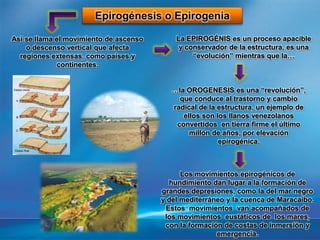 Así se llama el movimiento de ascenso
o descenso vertical que afecta
regiones extensas, como países y
continentes.
La EPIROGÉNIS es un proceso apacible
y conservador de la estructura, es una
“evolución” mientras que la…
…la OROGENESIS es una “revolución”,
que conduce al trastorno y cambio
radical de la estructura, un ejemplo de
ellos son los llanos venezolanos
convertidos en tierra firme el último
millón de años, por elevación
epirogénica.
Los movimientos epirogénicos de
hundimiento dan lugar a la formación de
grandes depresiones, como la del mar negro
y del mediterráneo y la cuenca de Maracaibo.
Estos movimientos van acompañados de
los movimientos eustáticos de los mares,
con la formación de costas de inmersión y
emergencia.
 
