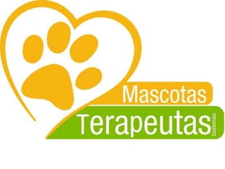 Cuatro Patas Listas Para Ayudar